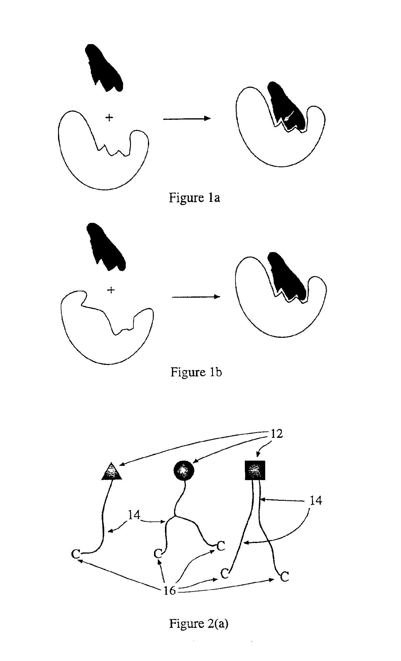 Molecular compounds having complementary surfaces to targets