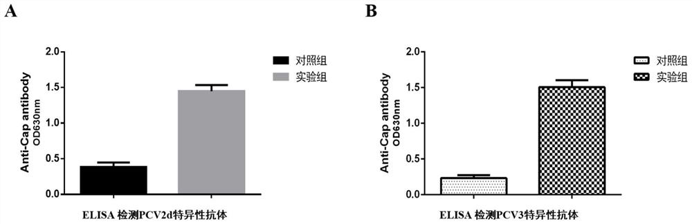 Porcine circovirus type 2d and type 3 cap protein dual subunit vaccine and its preparation method and application