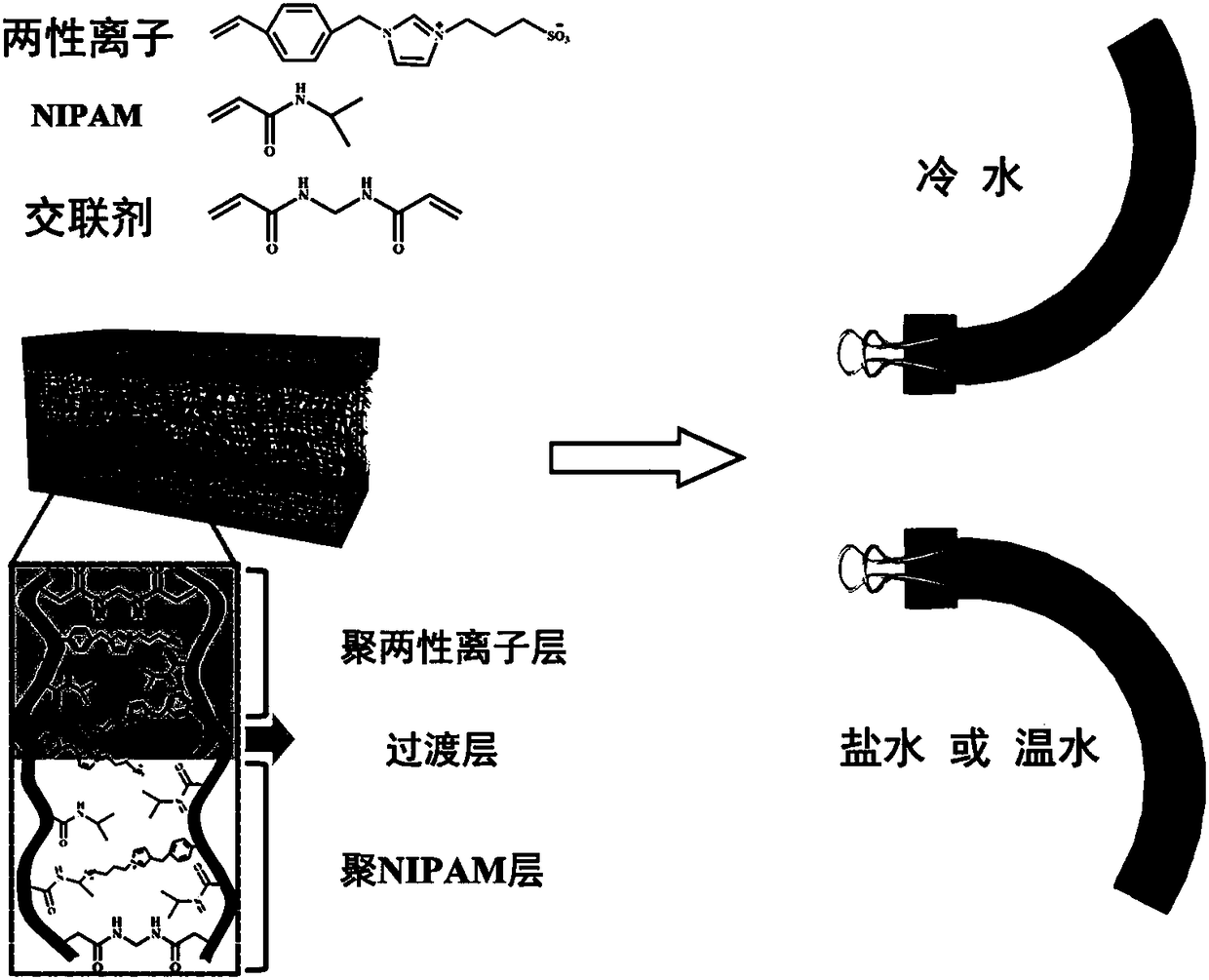 Preparation method, product and application of double-layer water gel with salt-temperature dual response