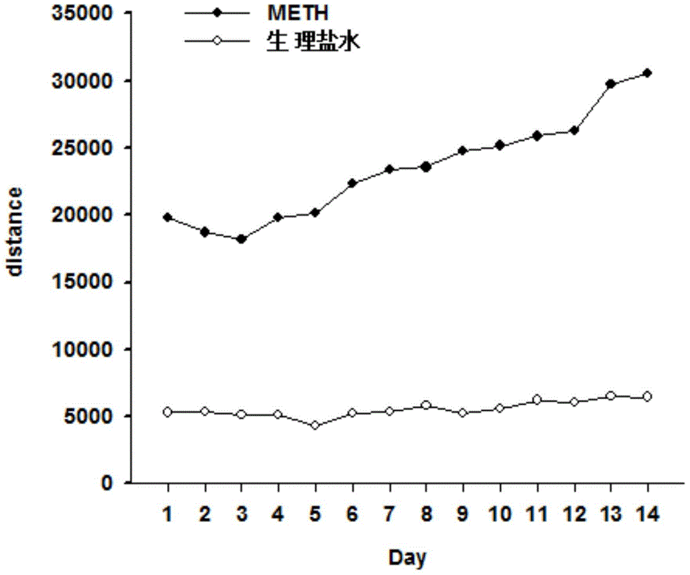 Application of candesartan in preparing methamphetamine addiction drugs