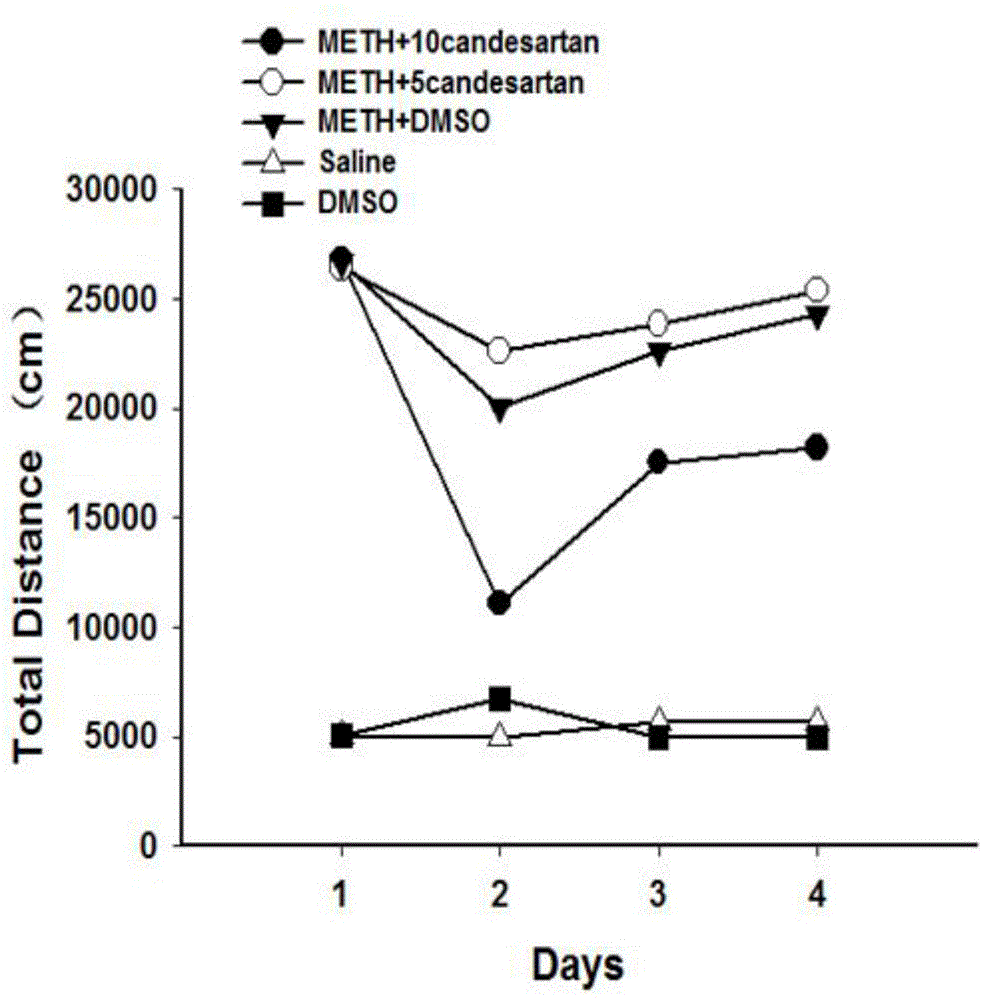 Application of candesartan in preparing methamphetamine addiction drugs