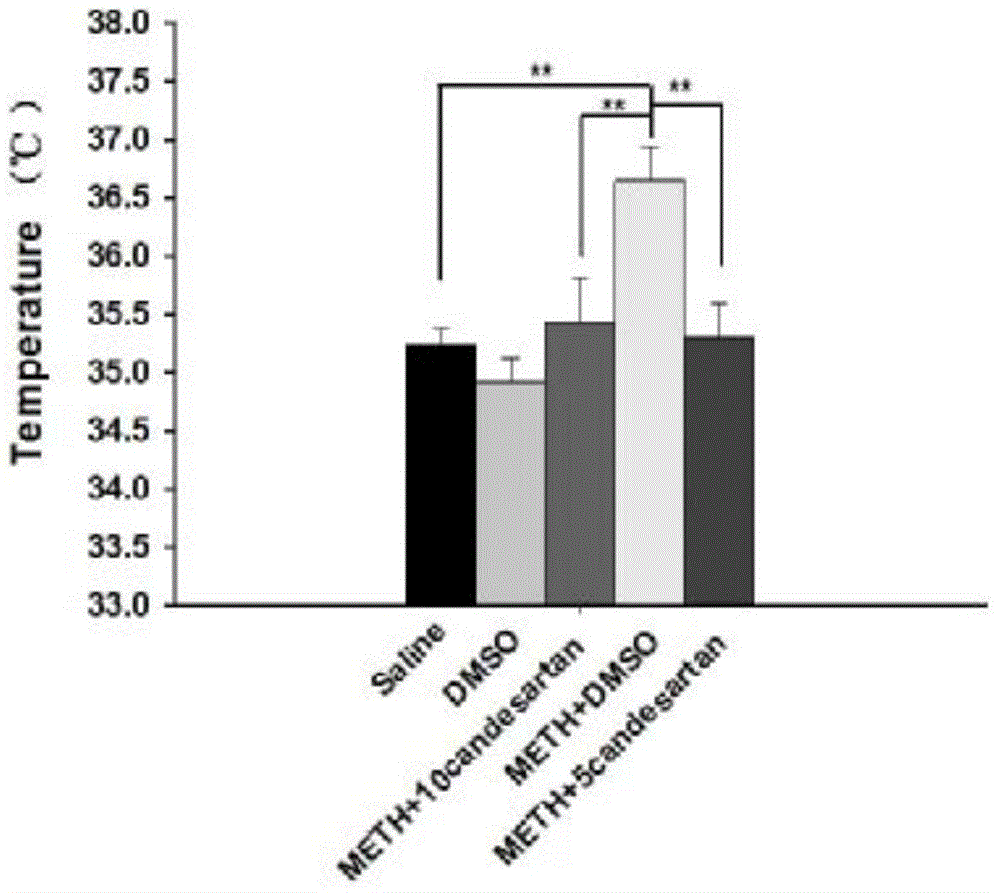 Application of candesartan in preparing methamphetamine addiction drugs