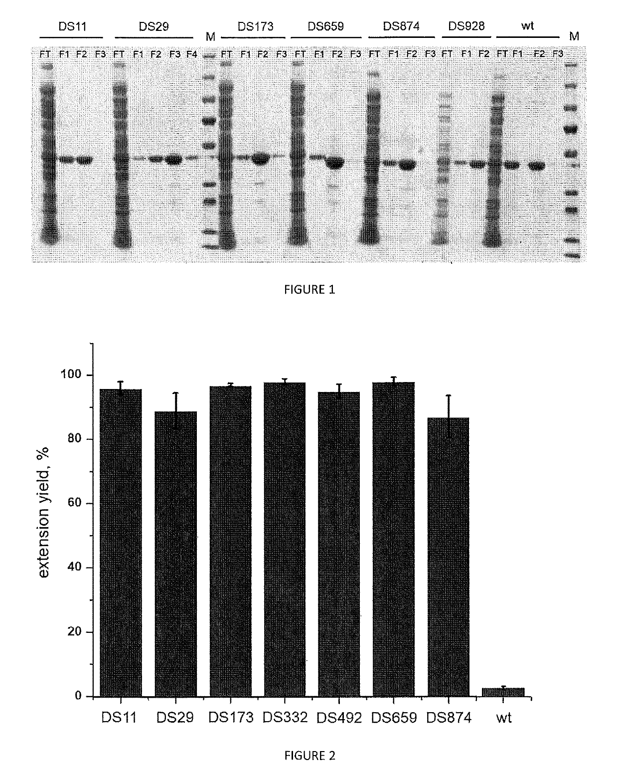 Variants of terminal deoxynucleotidyl transferase and uses thereof