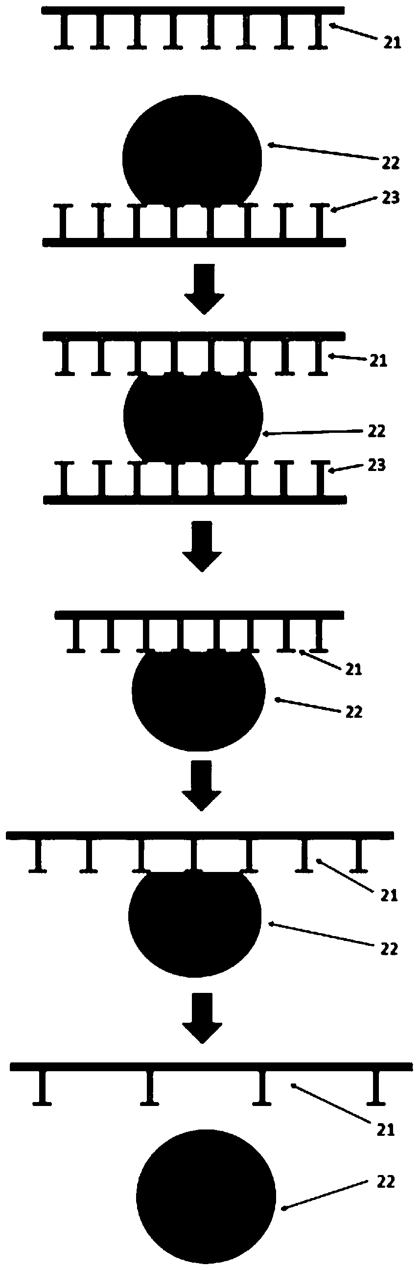 Stretchable flexible super-lyophobic film and its preparation method and droplet non-destructive transfer method