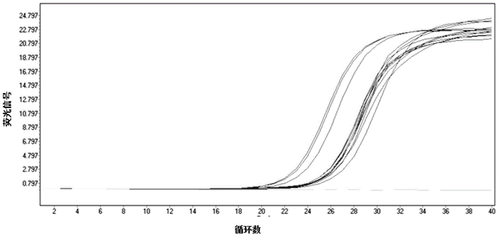 Transgenic soybean GTS40-3-2 and endogenous and exogenous gene multi-nested fluorescent quantitative PCR (polymerase chain reaction) detection primer combination method