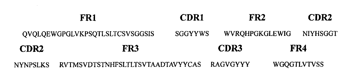 Humanized monoclonal antibody IgG Fab fragment of dermatophagoides farinae 2 allergoid specificity as well as preparation method and application thereof