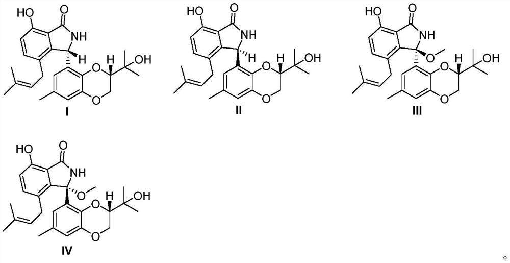 A class of isoindolinone compounds derived from marine fungi, their preparation methods and their application in the preparation of anti-inflammatory drugs