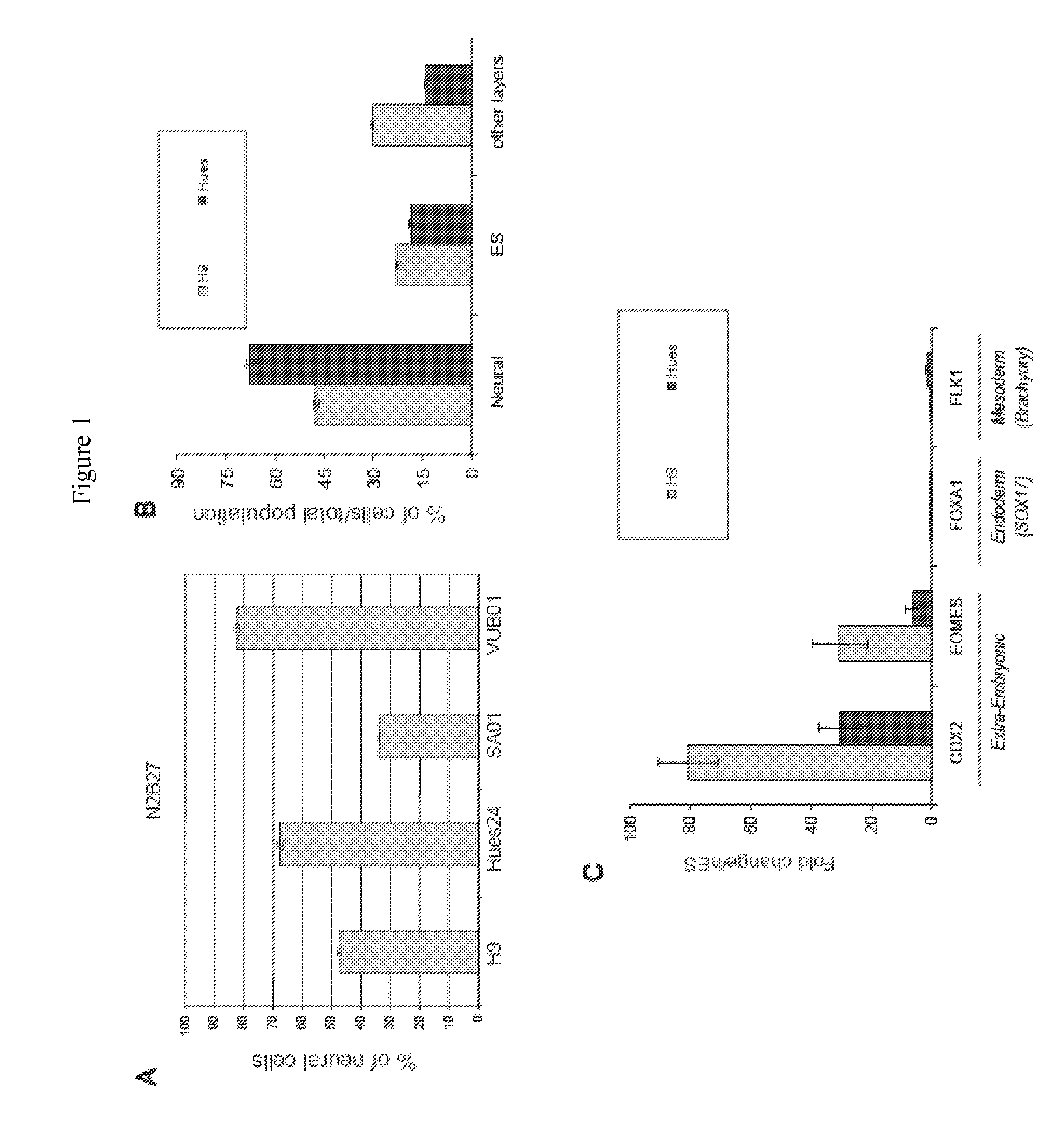 Method and Medium for Neural Differentiation of Pluripotent Cells