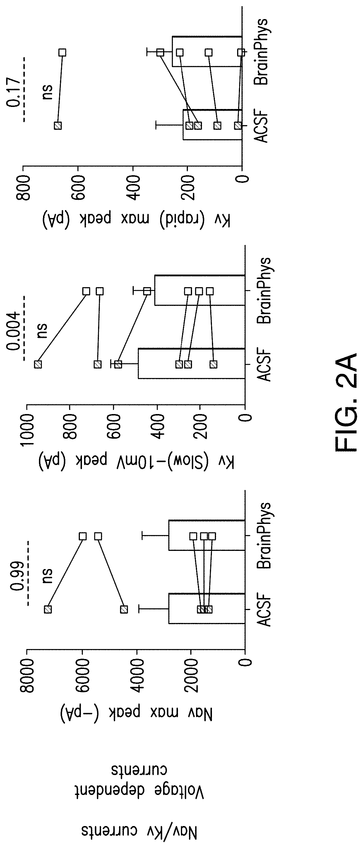 Media compositions for neuronal cell culture