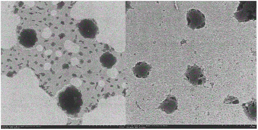 TPGS-reduced albumin nanoparticle preparation entrapped with taxol and preparation method