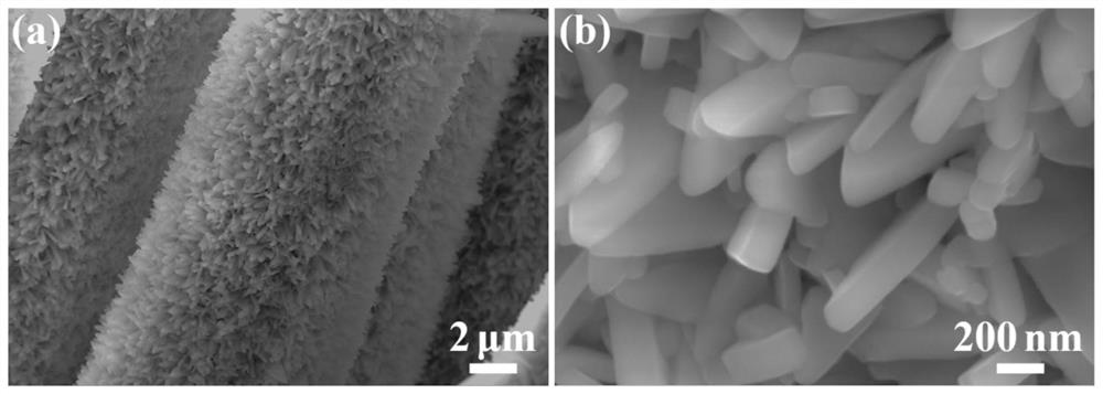 A kind of lithium-sulfur battery composite positive electrode material and its preparation method and application