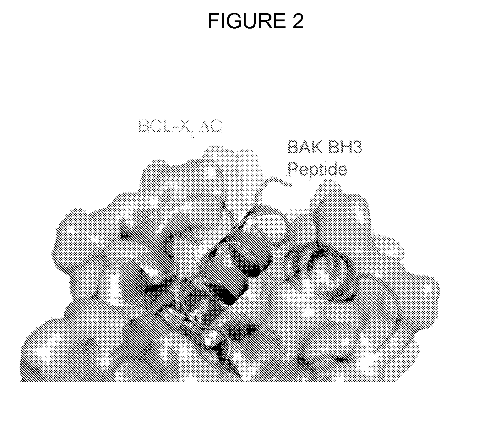 Methods and compositions for specific modulation of mcl-1