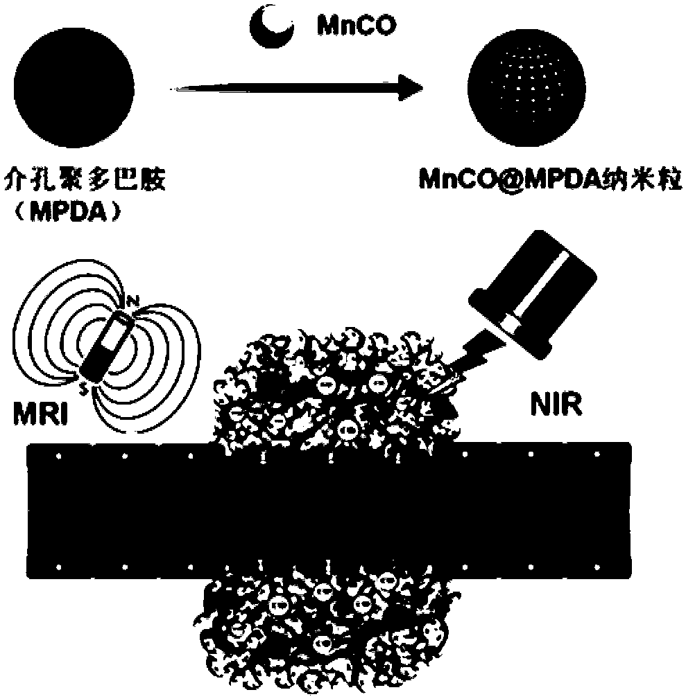 Mesoporous polydopamine loaded manganese carbonyl multifunctional nano diagnosis and treatment agent and preparation method and application thereof