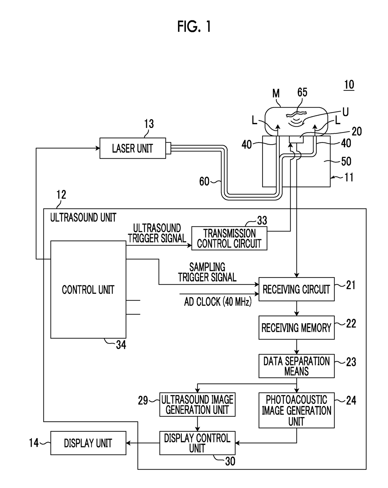 Photoacoustic measurement probe and probe unit and photoacoustic measurement apparatus including the same