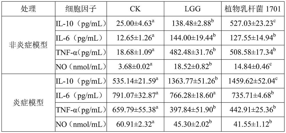 Application of lactobacillus plantarum in preparation of composition for relieving chronic inflammation of organism