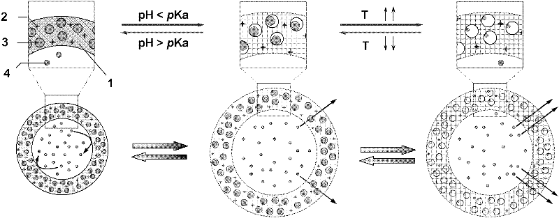 Release mass transfer rate adjustable intelligent drug delivery carrier and preparation method thereof