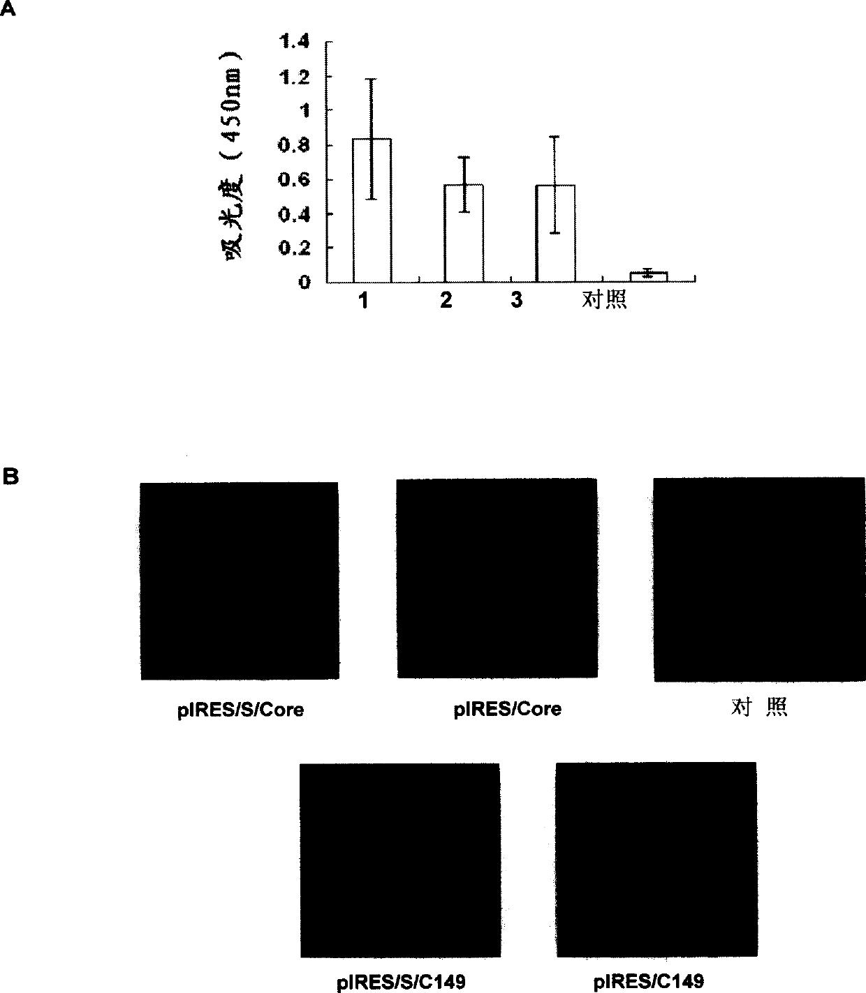 Method for inducing immune response using HBs DNA vaccine inoculated by HBV core protein reinforcing gene gun