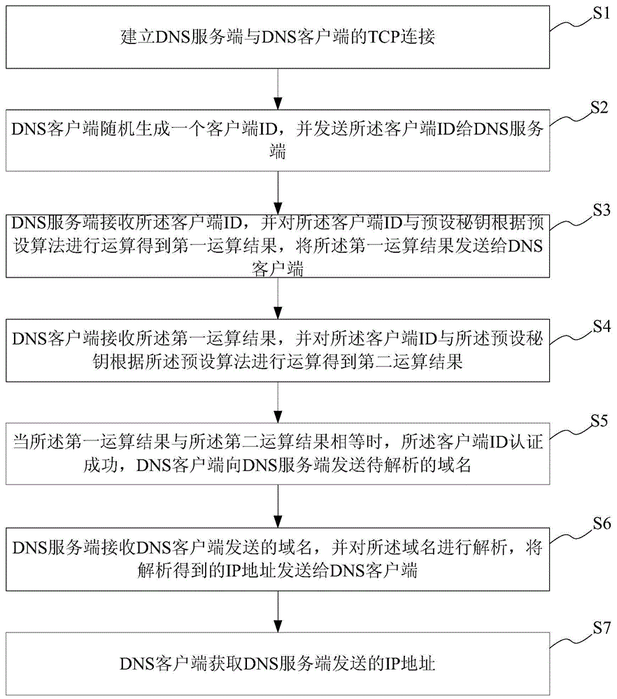 DNS (domain name system) system and method