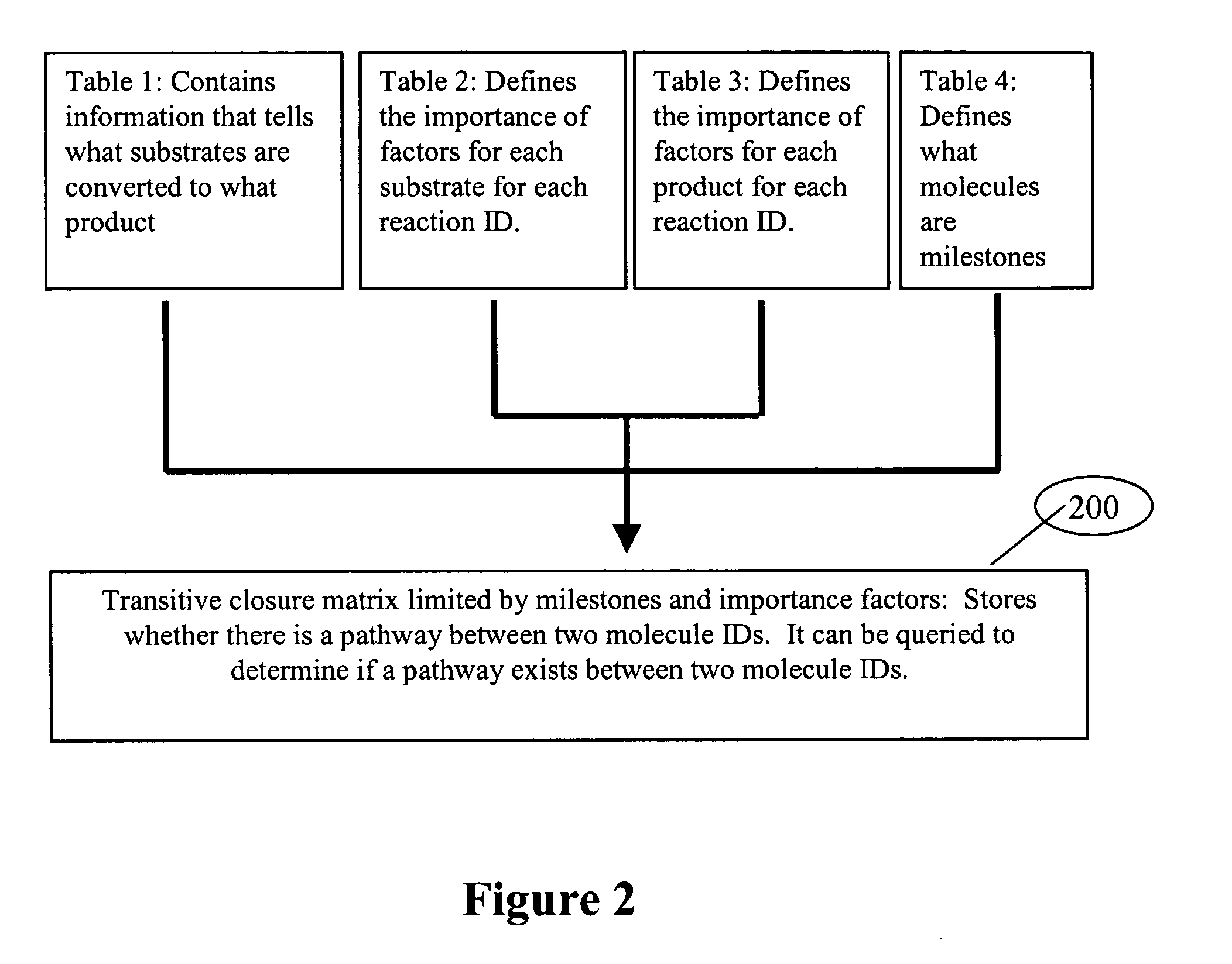 System and process of determining a biological pathway based on a treatment of a biological specimen