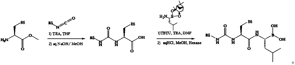 A class of dipeptide boronic acid compound and its preparation method and use