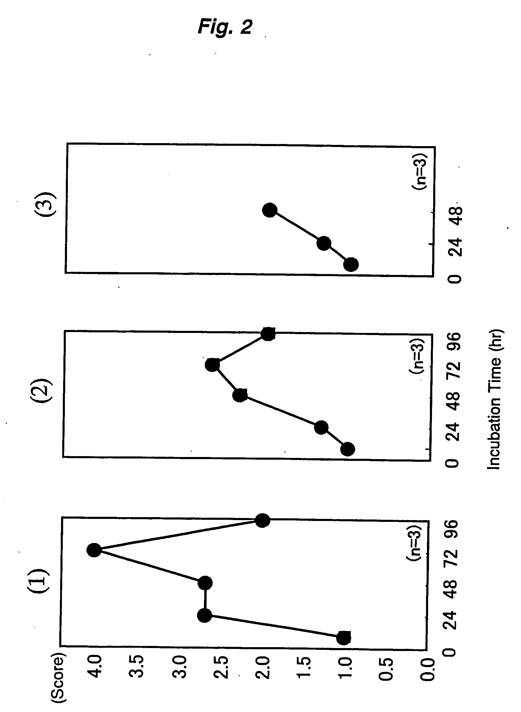 Composition containing lactic acid bacterium producing equol