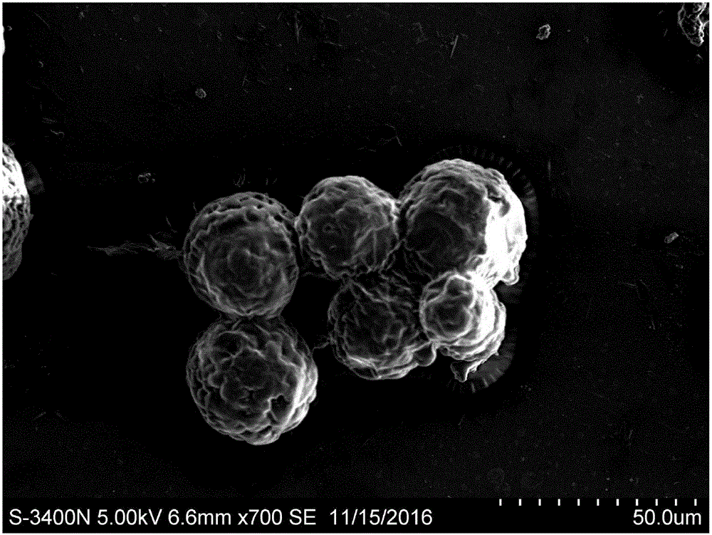 Porous chitosan microsphere of coated corrosion inhibitor and preparation and application thereof