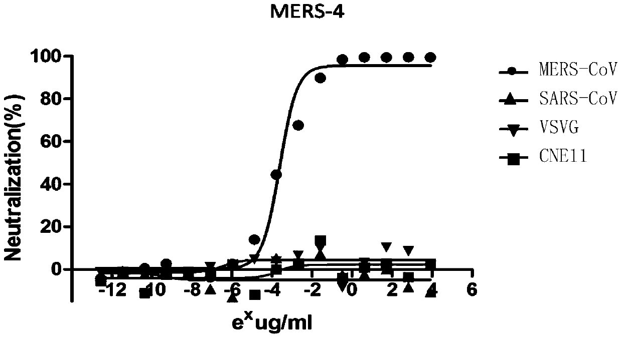 Monoclonal antibody mers‑4 and its coding gene and application