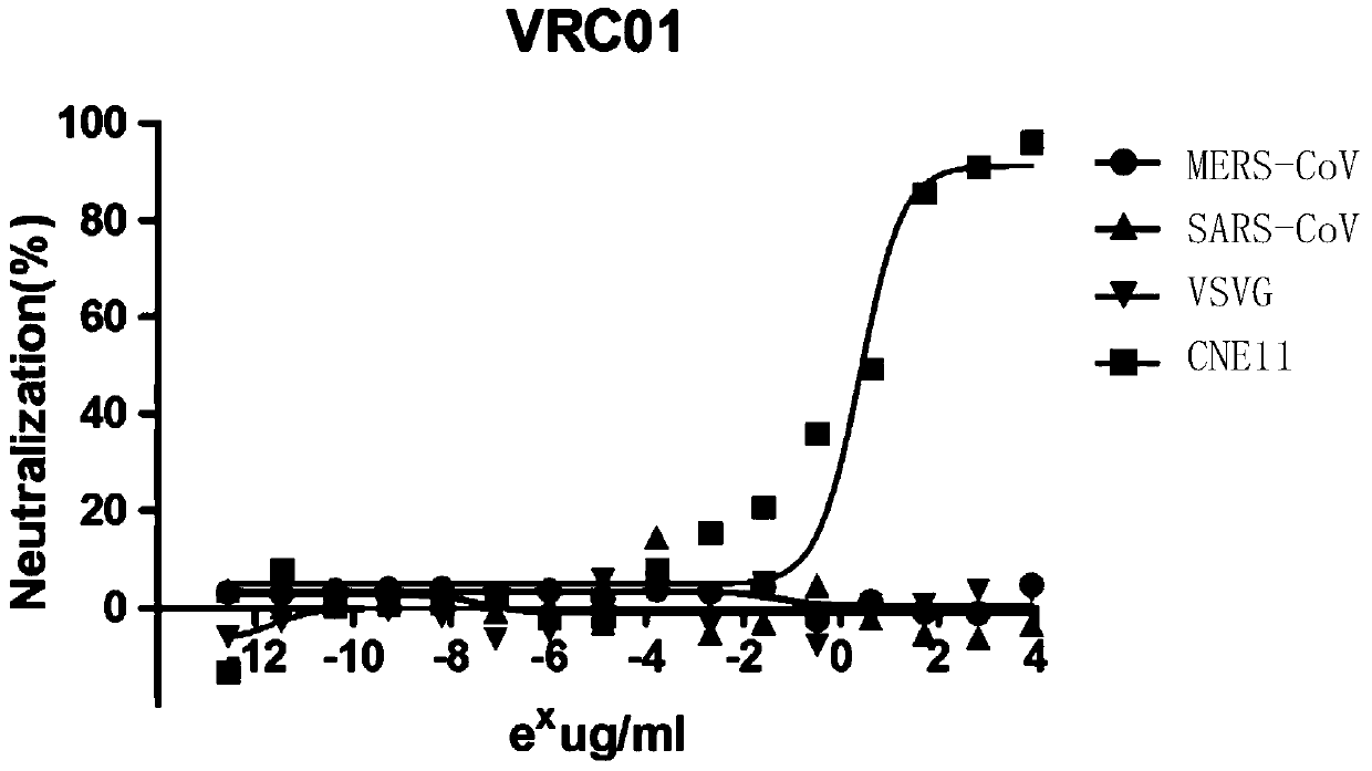 Monoclonal antibody mers‑4 and its coding gene and application