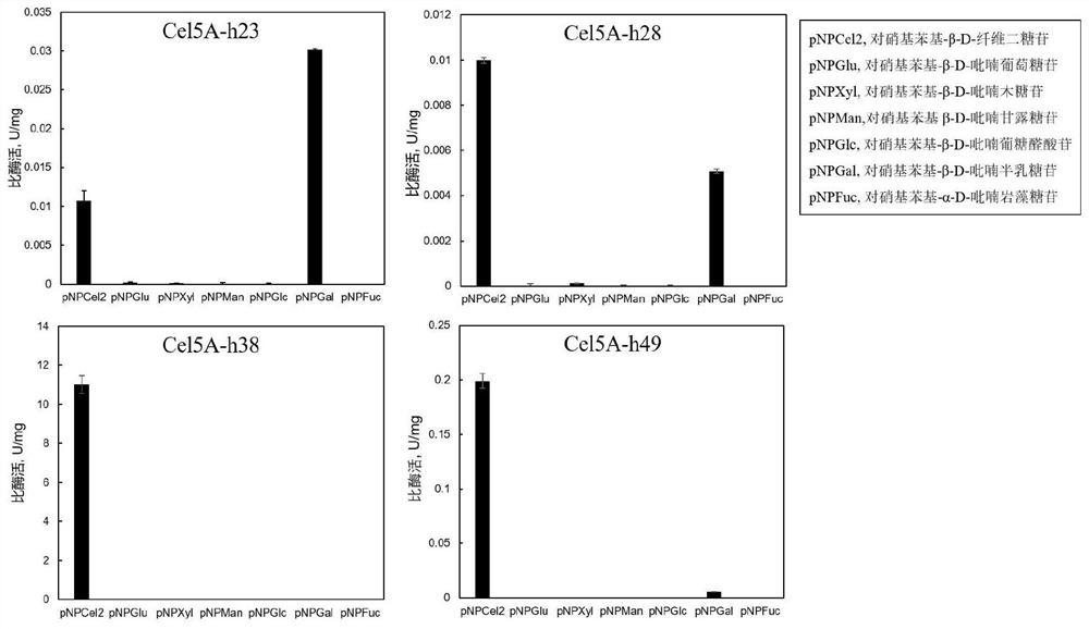 Compound, nitric oxide donor prodrug compound as well as preparation method and application of compound and nitric oxide donor prodrug compound