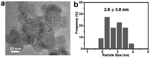 Preparation method and application of a metal cluster photostable catalyst