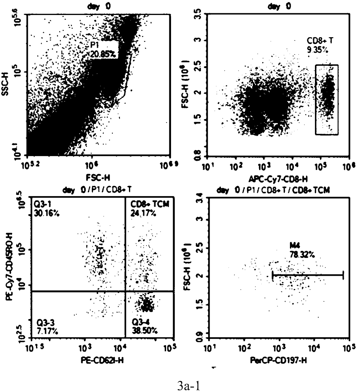 Medium and application thereof in central memory T lymphocyte culture