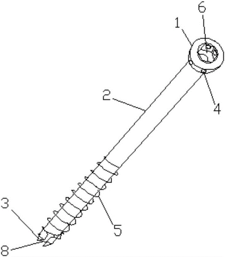 Hollow screw for restoring damaged ligaments or muscle tendons