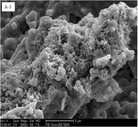Green expansive cementing material based on salt chemical industry solid waste and building garbage, preparation method and applications thereof
