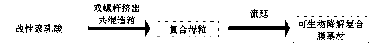 A kind of biodegradable modified polylactic acid adhesive tape and preparation method thereof