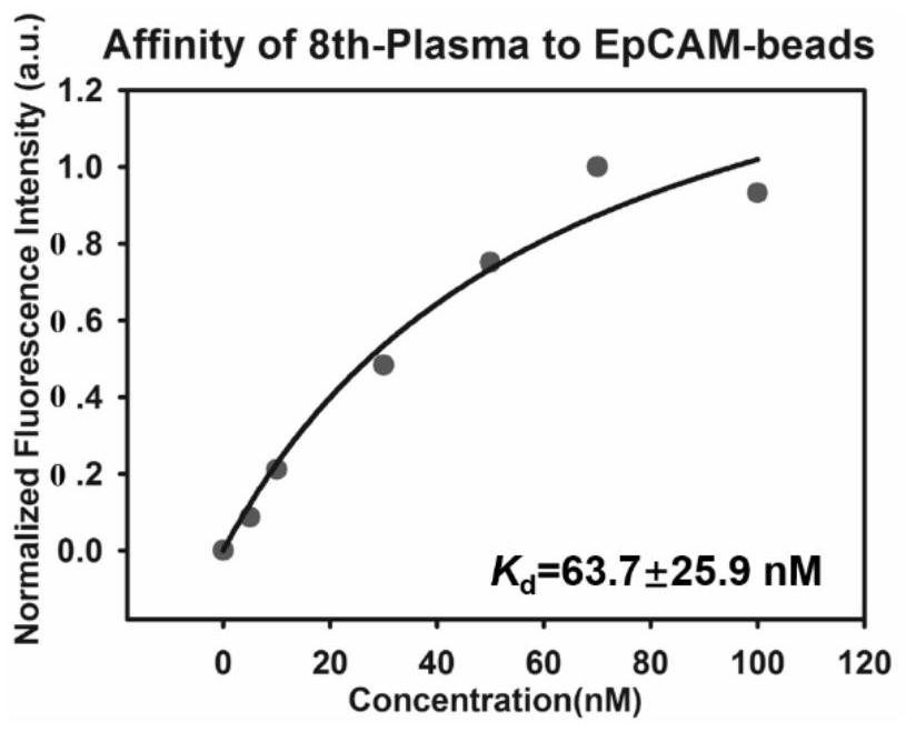 A nucleic acid aptamer of epithelial cell adhesion molecule epcam screened in human plasma and its preparation method and application