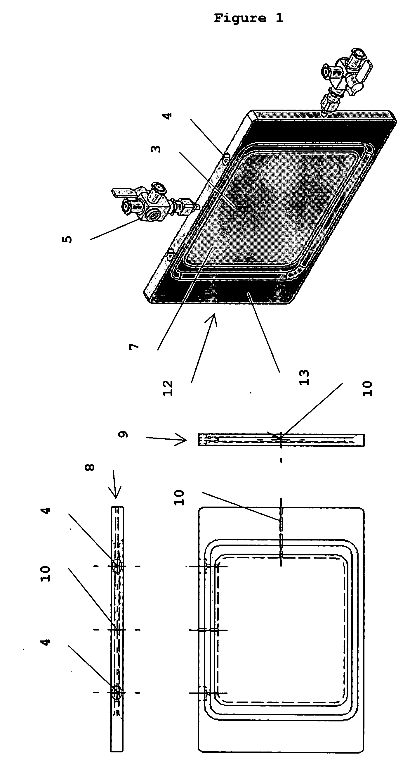 Apparatus for growing cells under variable hydrostatic pressures