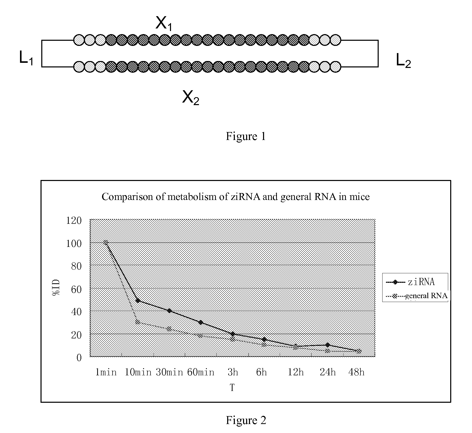 Complex molecule interfering the expression of target genes and its preparing methods