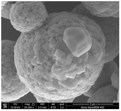 Preparation method of nitrogen-doped porous carbon-coated hollow cobalt-nickel alloy composite wave absorbing material