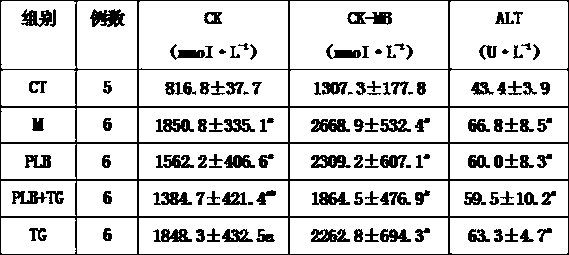 Combined application of phellinus igniarius and tripterygium glycosides in delaying focal segmental glomerulosclerosis process