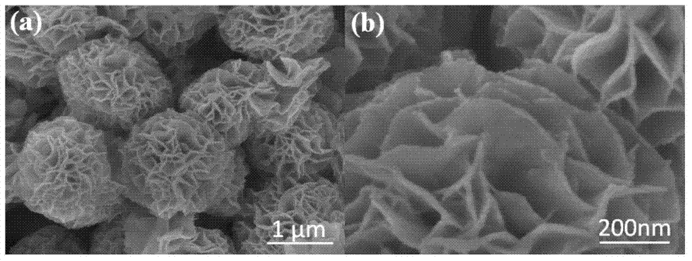 High-performance micro-nano multi-level structure BiOCl photocatalytic material and preparation method thereof