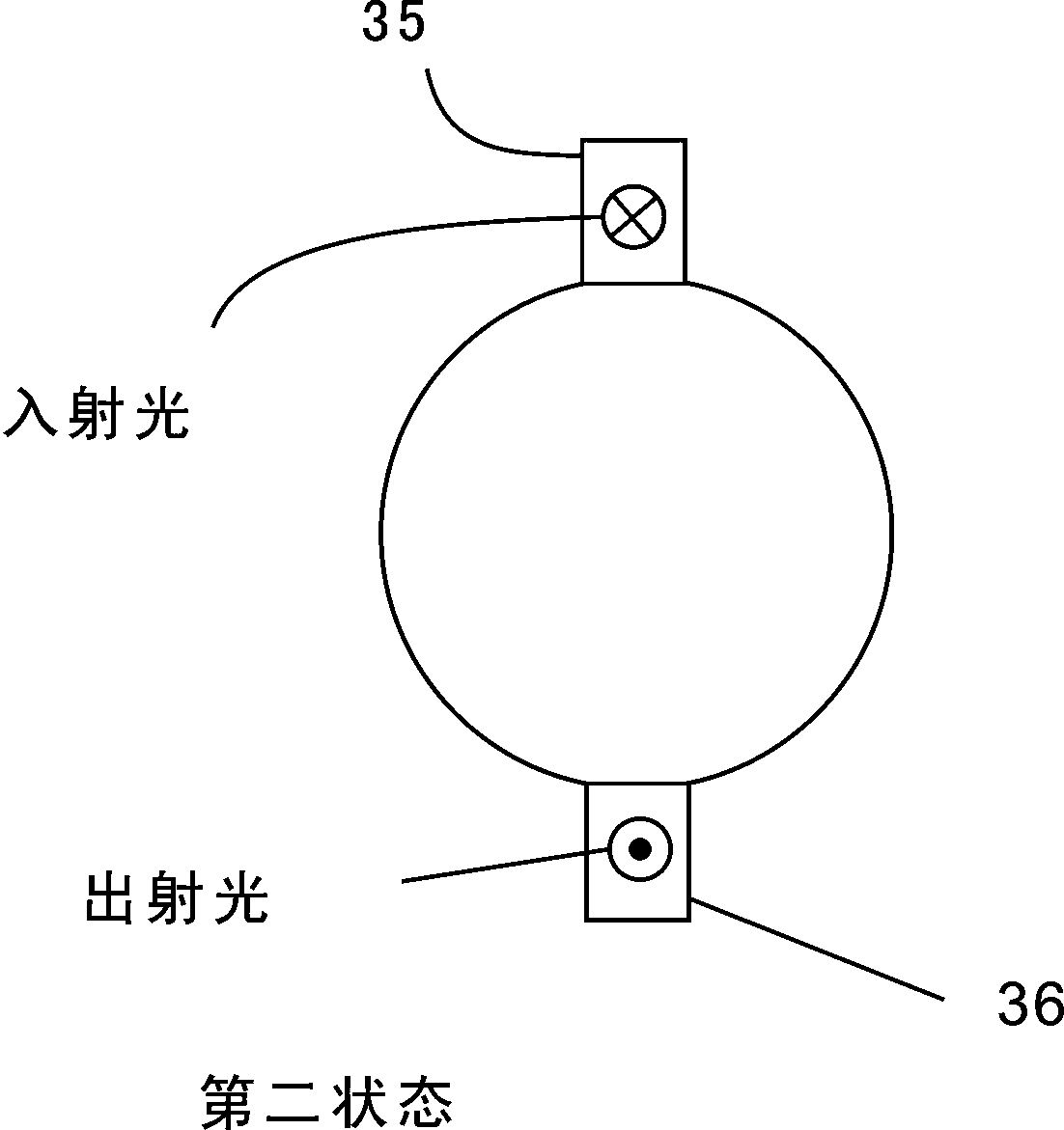 A kind of lactic acid bacteria beverage shelf life quality detection sensor and detection method