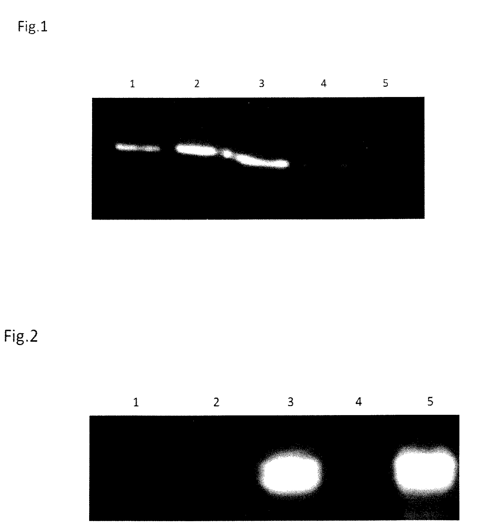 Method of painting microvesicles