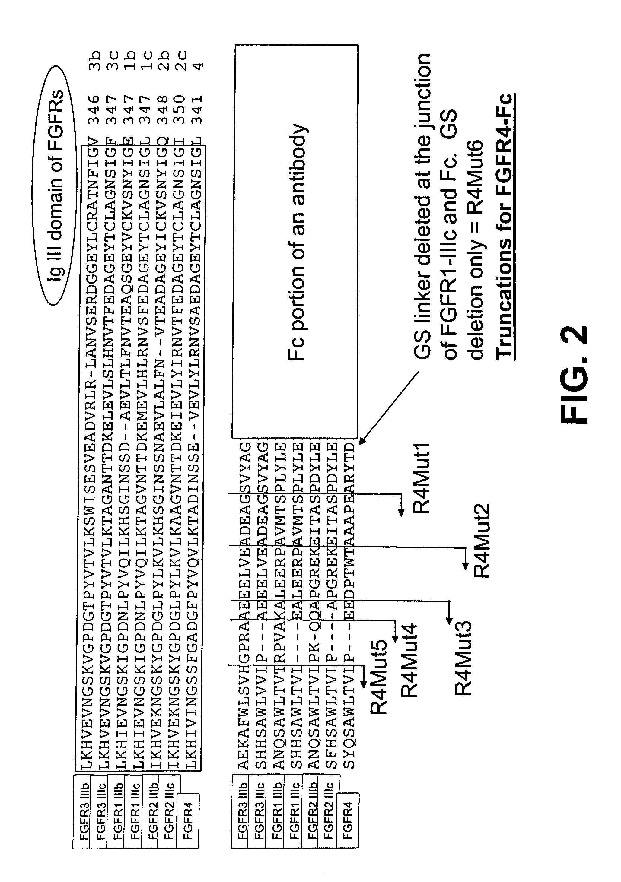 Compositions and methods of treating disease with FGFR fusion proteins