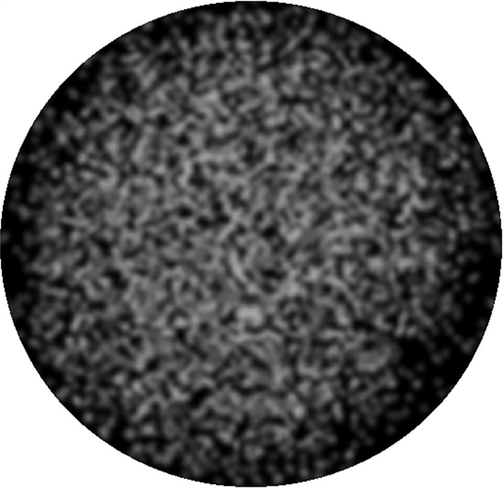 Composite catalyst for improving lactose isomerization yield, preparation method and application