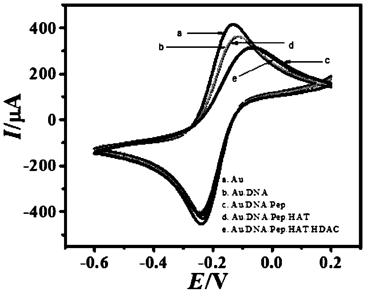 An impedance-type electrochemical biosensor based on electrostatic interaction, preparation method and application thereof