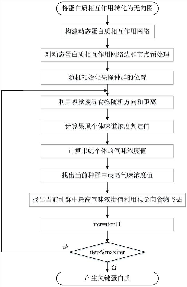 A method for identifying key proteins using a Drosophila optimization algorithm