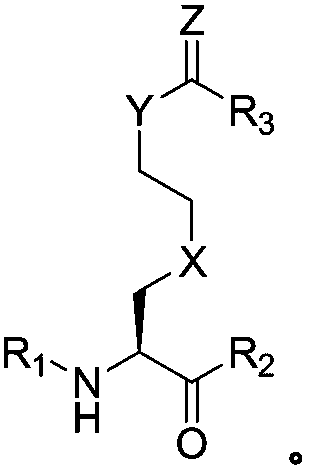 Lysine derivative histone deacetylase inhibitor, synthesis and application