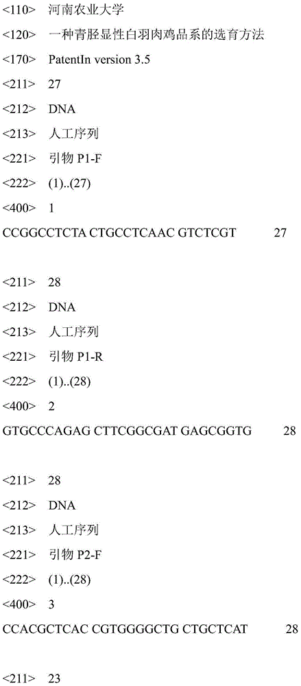 Breeding method of a blue-shank dominant white-feathered broiler strain