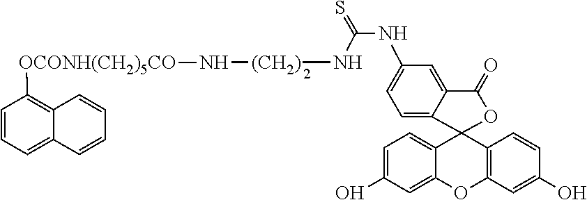 Fluorescence polarization immunoassay method for detecting carbaryl