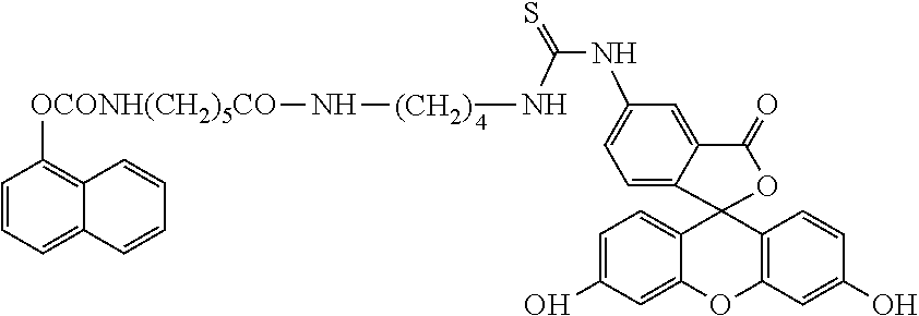 Fluorescence polarization immunoassay method for detecting carbaryl